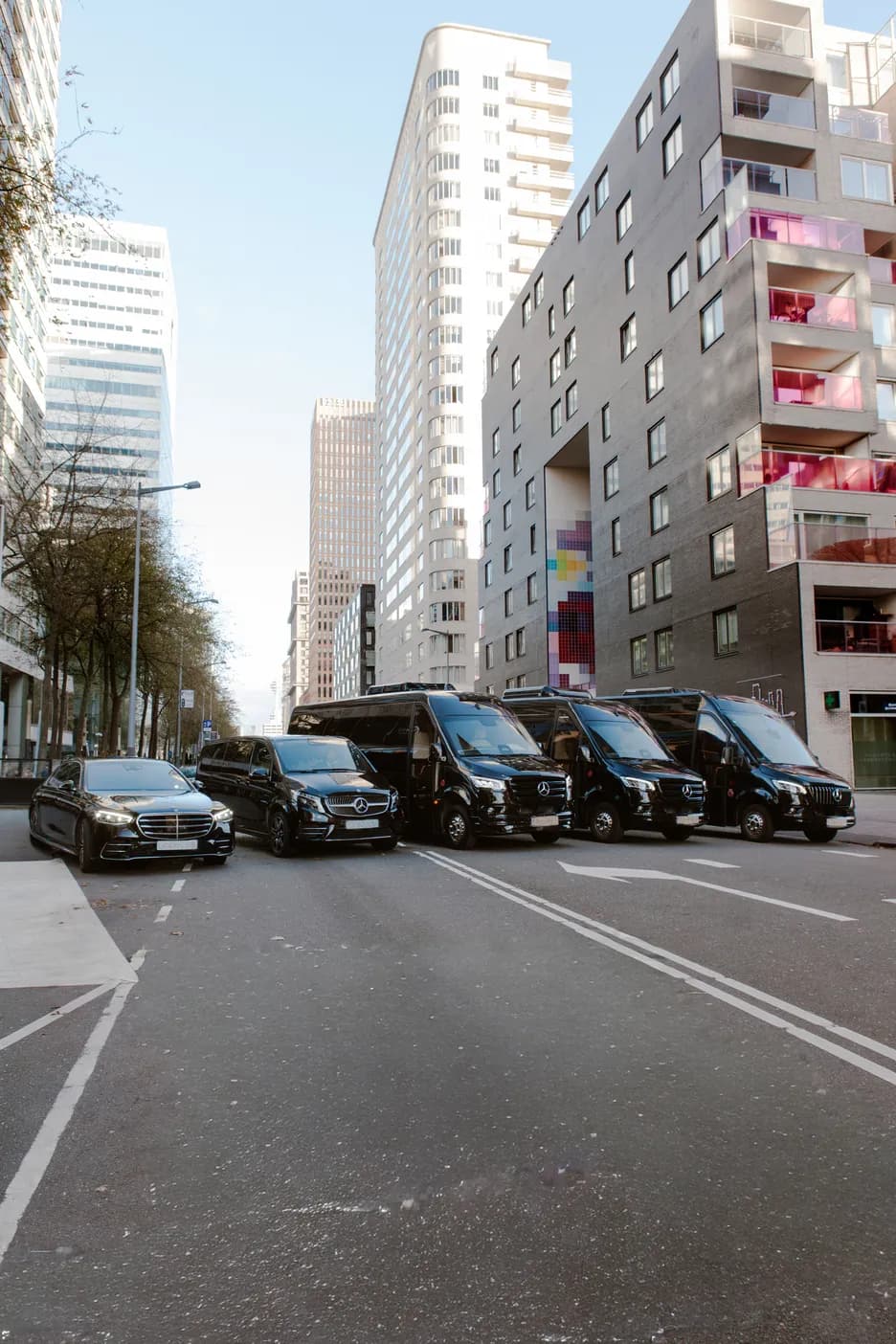 SK Luxury Tours gallery image 4