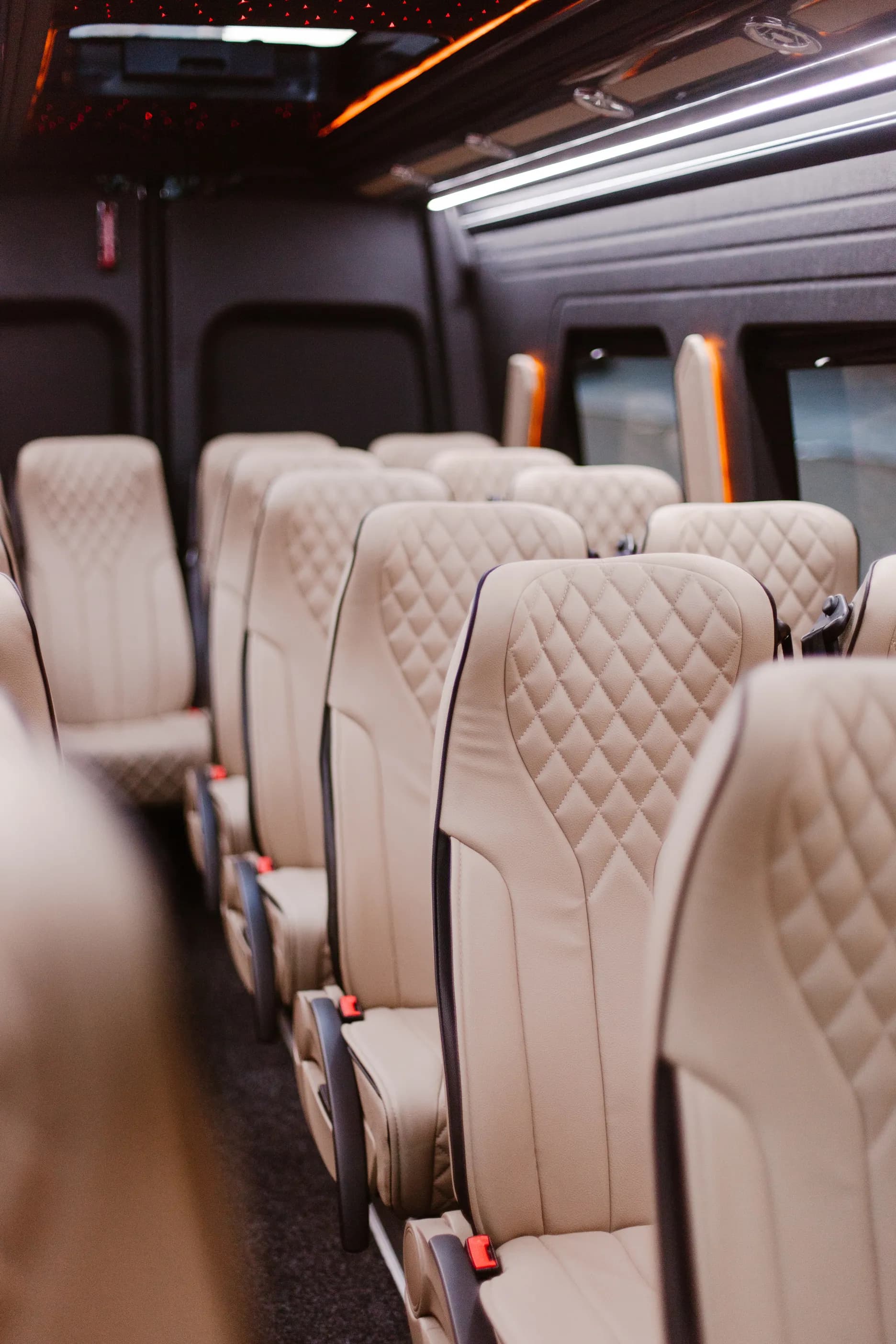 SK Luxury Tours gallery image 50