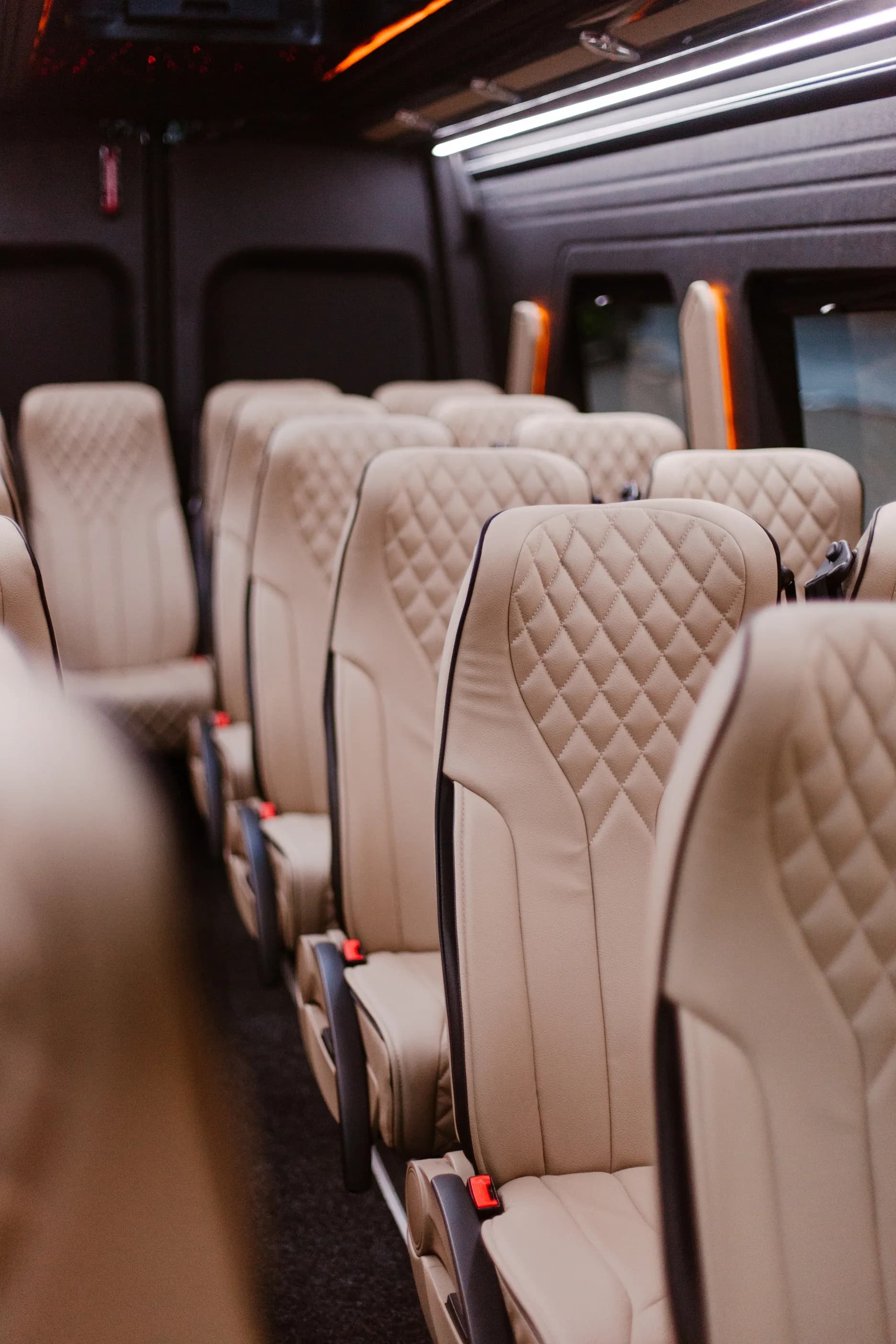 SK Luxury Tours gallery image 51